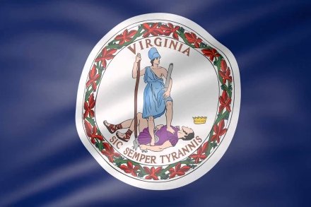 Virginia flag waving