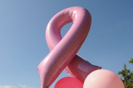 Breastival and Fun Walk