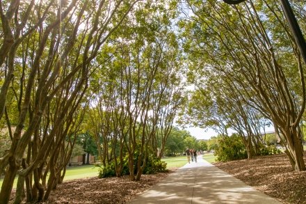 ODU Student Branded Web Images