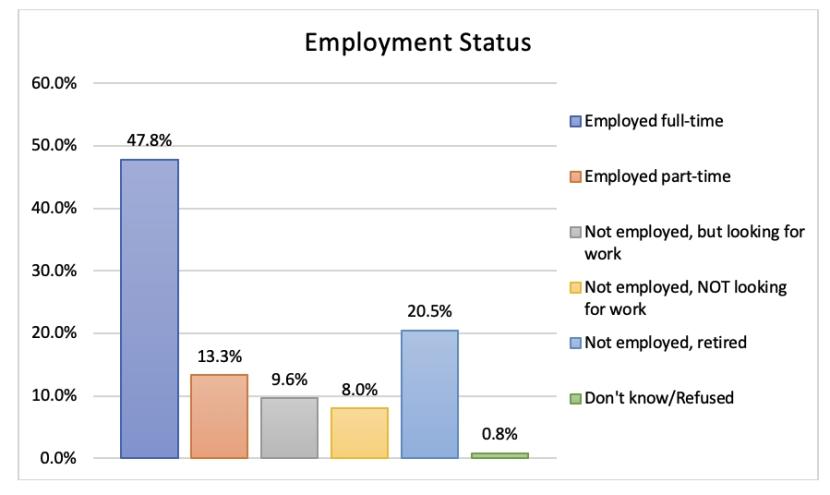 employment-status