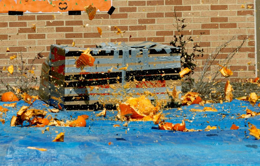 Pumpkins littered the grounds of BAL after the annual event.
