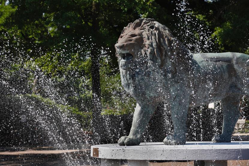 Webb Lion Fountain