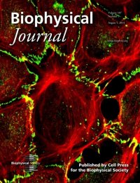 Research featured on the cover of the Biophysical Journal (A
