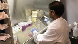 Stem Cell Research & Translational Medicine Student in Lab