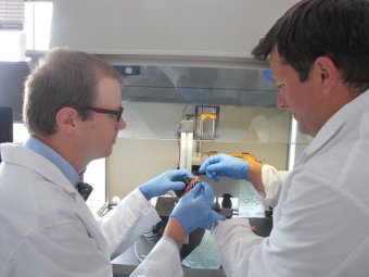 photo of cancer researchers