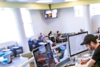 Student in Perry Library