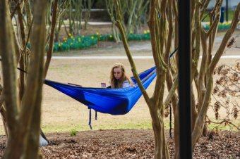 Student studying in a hammock
