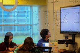 Students studying in Perry Library