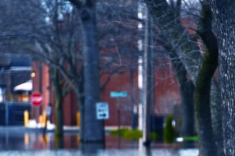 Flooded Street