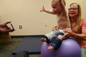 William Burke Gillespie