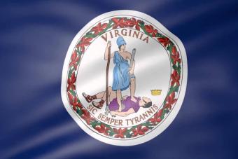 Virginia flag waving