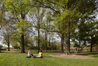 Spring is a great time to enjoy the beauty of the campus.