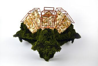 Photo of An Illuminated Perspective, by Colleen Toledo