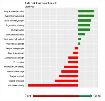 Sample Falls Risk Assessment Results