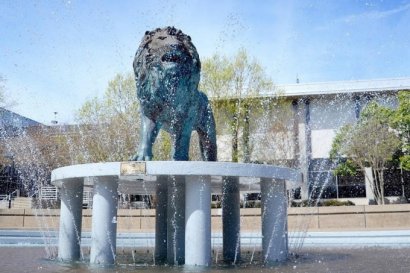 2017 Top Instagram Photos - #4