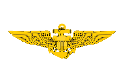 Aviation gold wings insignia for pin